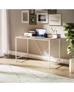 Dudley Metal Desk with 2 Drawers